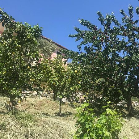 Villa Teresa Casarza Ligure Ngoại thất bức ảnh