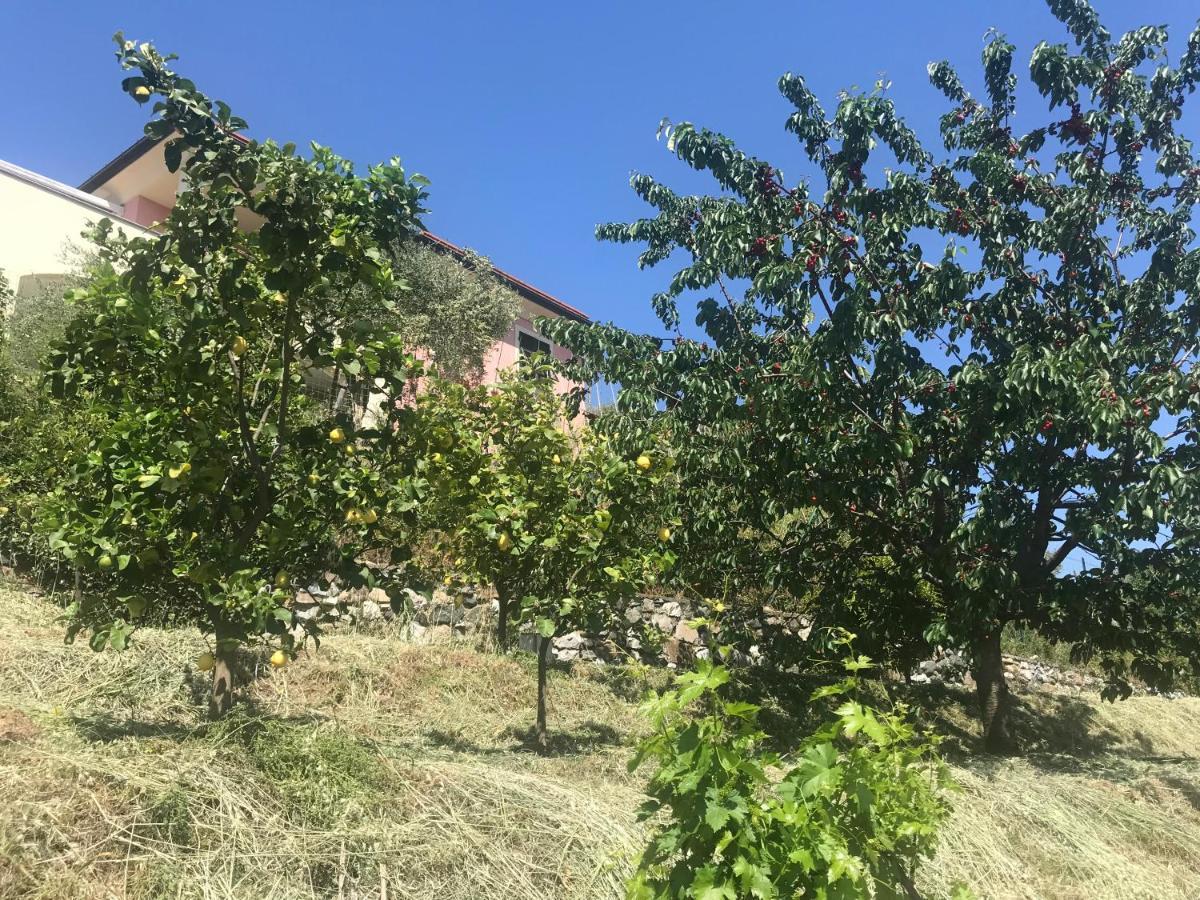 Villa Teresa Casarza Ligure Ngoại thất bức ảnh