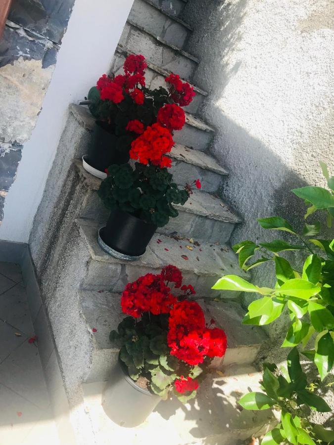 Villa Teresa Casarza Ligure Ngoại thất bức ảnh