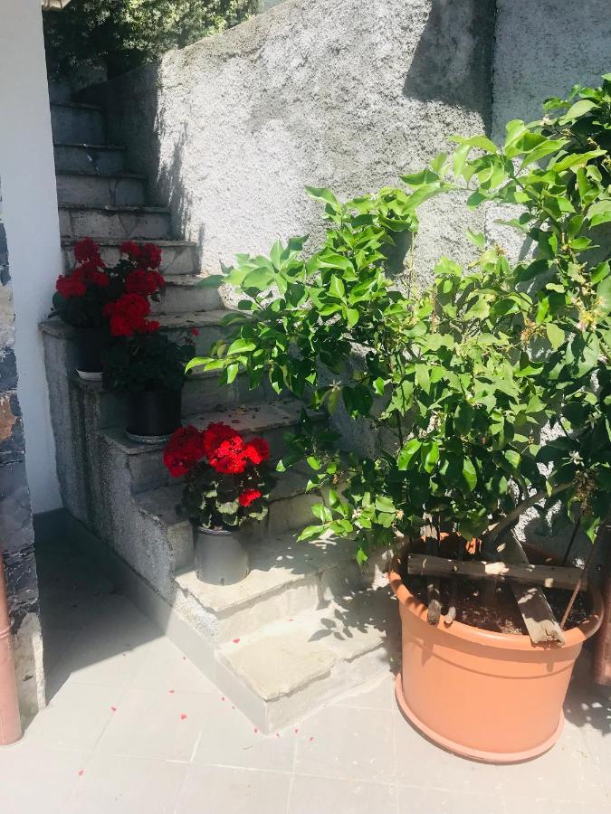 Villa Teresa Casarza Ligure Ngoại thất bức ảnh